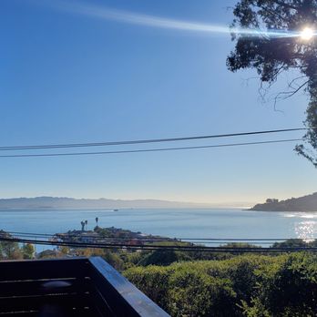 Jorge's Tree Service - Tree Services Near Me - San Rafael, California Jorge's Tree Service - Tree Services Near Me - San Rafael, California
