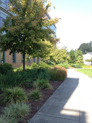 Legacy Salmon Creek Medical Center by null