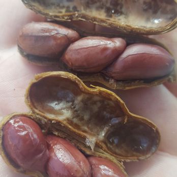 Cromer's P-Nuts - Cafes Near Me - Columbia, South Carolina