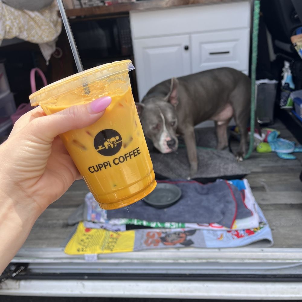 Cuppi Coffee - Iced Turmeric latte, a cute velvet hippo dog, a camper van - Coffee & Tea Near Me - Dumfries, Virginia Cuppi Coffee - Iced Turmeric latte, a cute velvet hippo dog, a camper van - Coffee & Tea Near Me - Dumfries, Virginia