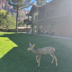 Five Petals Spa at The Cliffrose