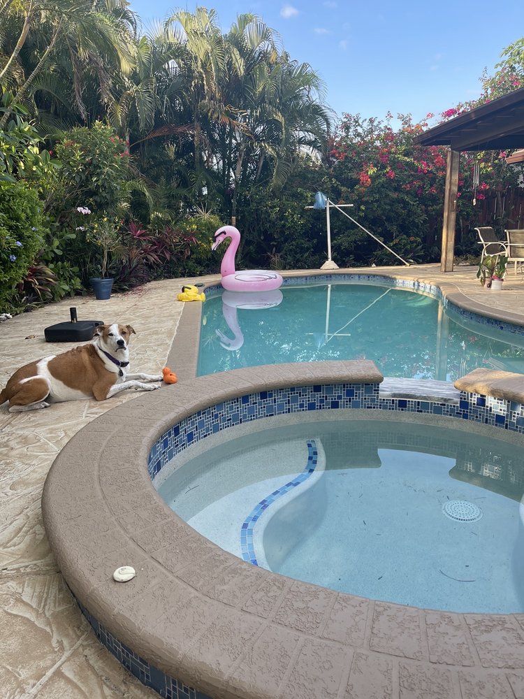 THE POOL STORE Updated September 2024 12 Photos 4600 NW 2nd Ave, Boca Raton, Florida Hot