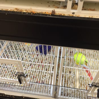 Pet Supplies Plus Telford - More filth - Pet Stores Near Me - Telford, Pennsylvania