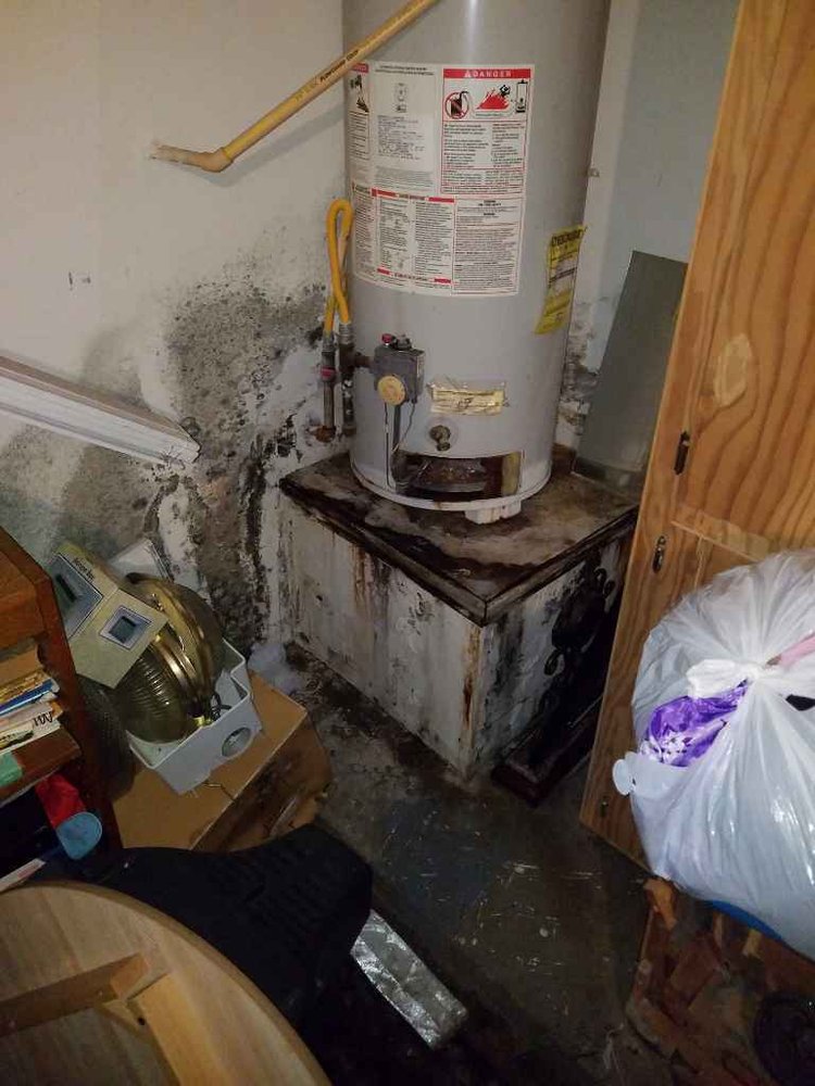 Airborne Environmental - mold inspector in Houston, TX