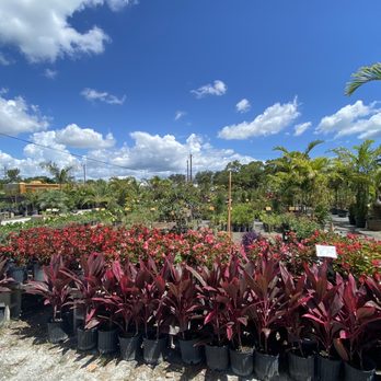 707 Nursery - Nurseries & Gardening Near Me - Jensen Beach, Florida