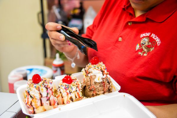 Snow Monkey Shaved Ice