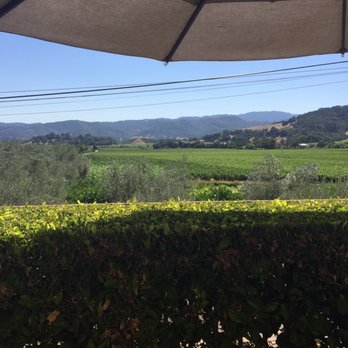 Regusci Winery - View of the vineyard from the patio - Wine Tasting Room Near Me - Napa, California Regusci Winery - View of the vineyard from the patio - Wine Tasting Room Near Me - Napa, California