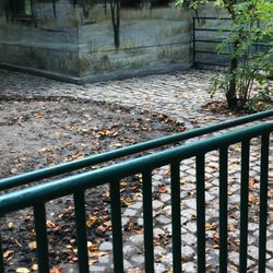 Insel-Zoo