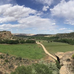 Grazing pastures around Slot Canyons Inn! Grazing pastures around Slot Canyons Inn!