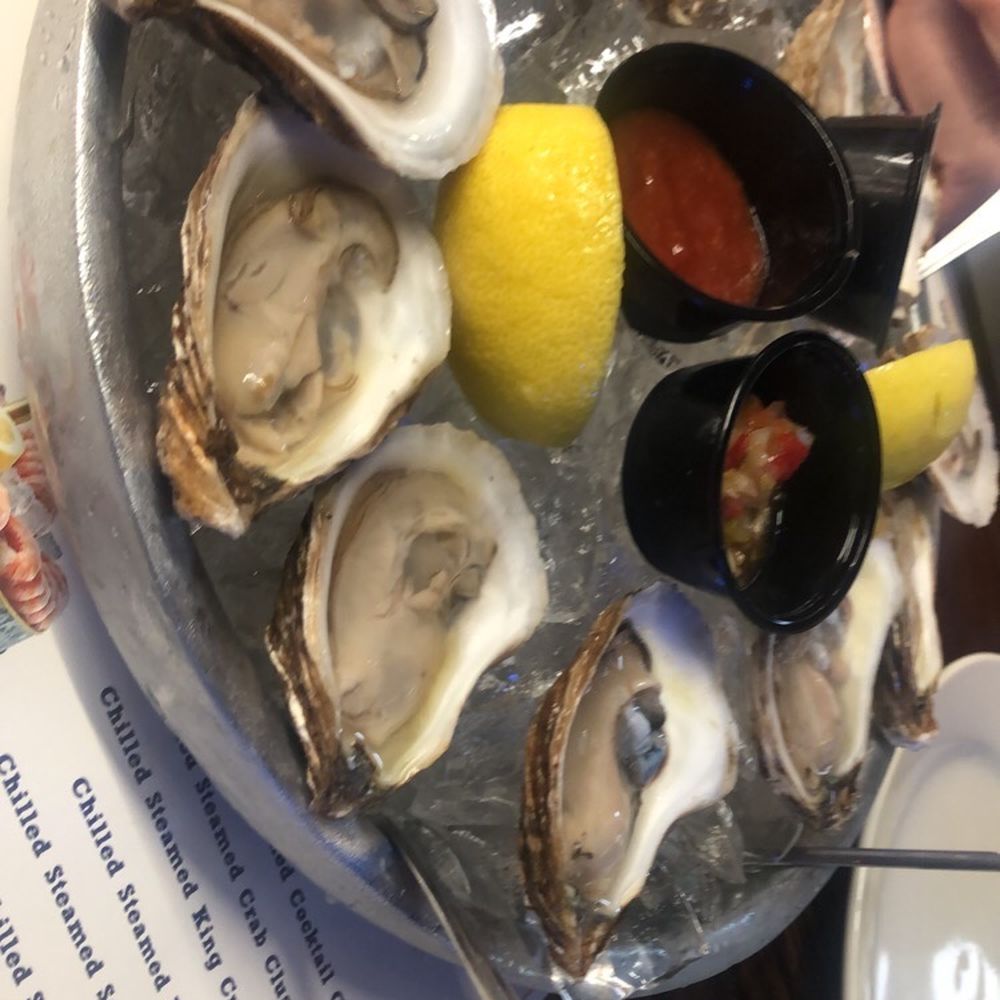 Oysters Oysters