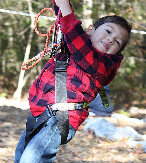 Treetop Zoofari Zipline and Adventure Park Logo