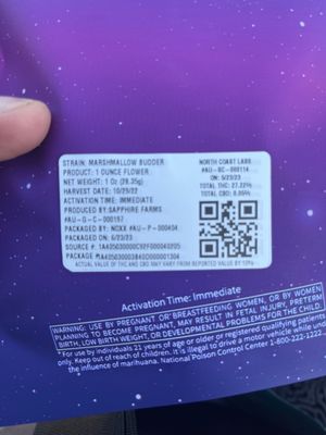 NOXX CANNABIS PLAINFIELD AVE - GRAND RAPIDS DISPENSARY - Updated