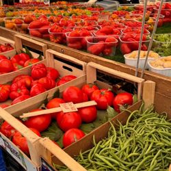 Forno Campo de' Fiori