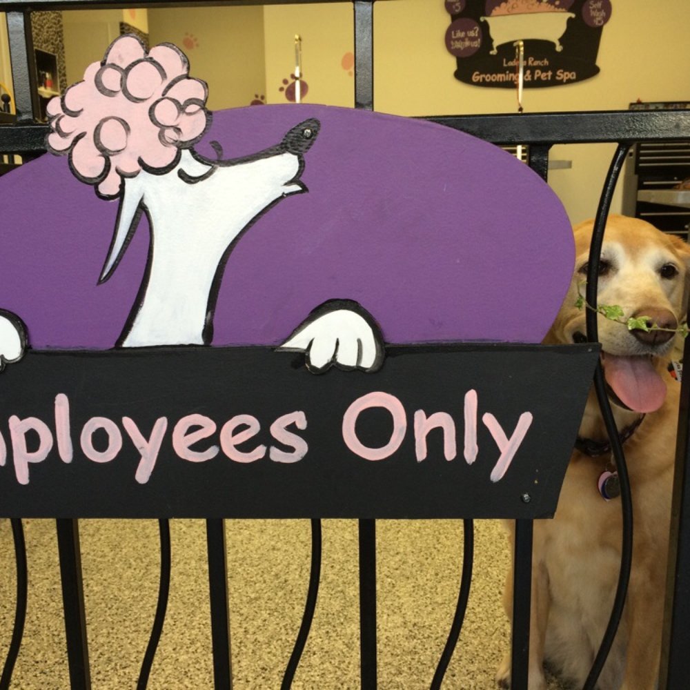 Ladera Ranch Grooming & Pet Spa - Pet Groomers Near Me - Ladera Ranch, California Ladera Ranch Grooming & Pet Spa - Pet Groomers Near Me - Ladera Ranch, California