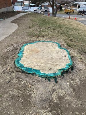 WILD BILLS TREE SERVICE - Updated June 2026 - 10 Photos - Salt Lake ...