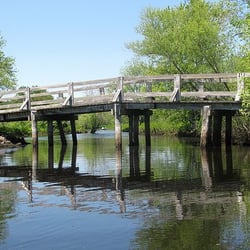 Foote Brothers Canoe and Kayak Rentals - Horse bridge