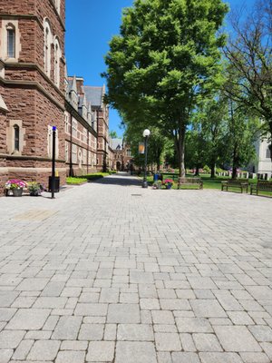 Trinity College by null