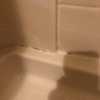 Bath Fitter - General Contractors Near Me - Novi, Michigan