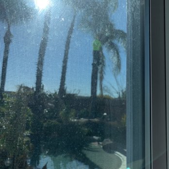 Better City Tree Services Inc. - Tree Services Near Me - Martinez, California
