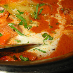 Namaskar India Restaurant - Butter chicken - extreme closeup!