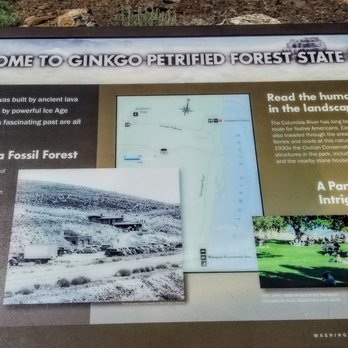 Ginkgo Petrified Forest State Park - Information on the Land Structure - Parks Near Me - Vantage, Washington