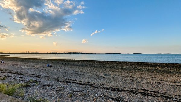 Wollaston Beach by null