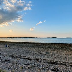 Wollaston Beach
