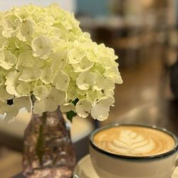 Gardenia Los Gatos - Honey rose latte