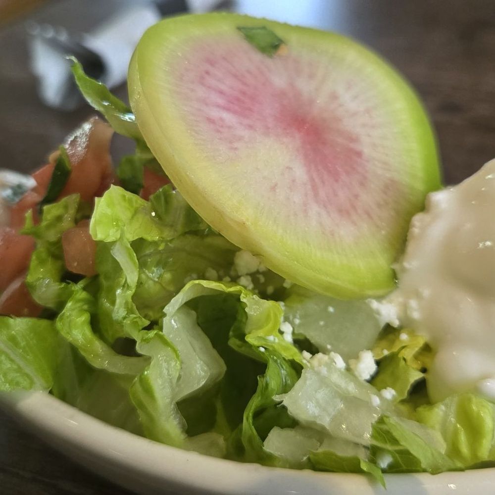 Jalisco Town Modern Mexican Grill - Mexican Near Me - Gainesville, Florida Jalisco Town Modern Mexican Grill - Mexican Near Me - Gainesville, Florida