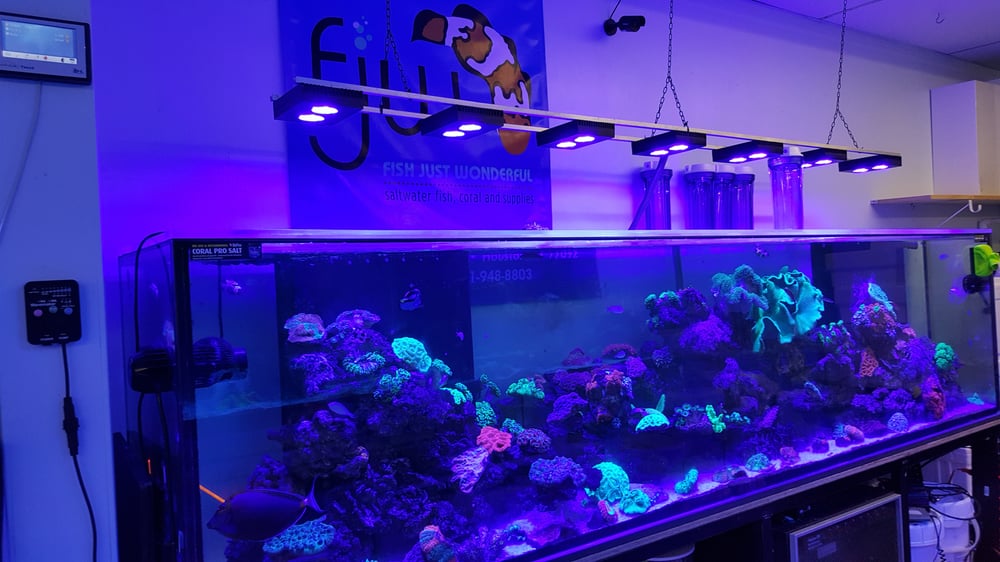 FJW AQUARIUM Updated October 2024 16 Photos & 22 Reviews 3839