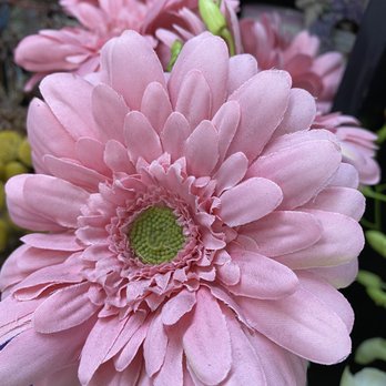 Flowers For You - Gerber Daisy for my princess - Florists Near Me - San Diego, California