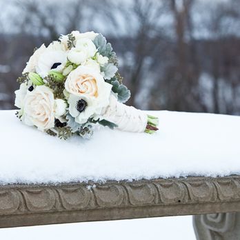 Jan Michele Photography - Event Photography Near Me