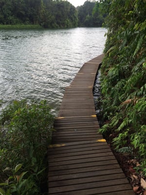 Lower Peirce Reservoir Park by null