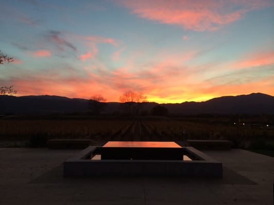 Bin 415 Wine Tastings & Private Tours by null