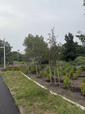 Schuylkill Banks by null