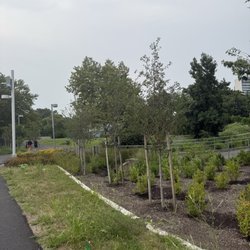 Schuylkill Banks