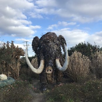 Jerrassic Park - Parks Near Me - Virginia Beach, Virginia