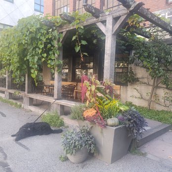 Standard Baking - Outside seating only - Bakeries Near Me - Portland, Maine Standard Baking - Outside seating only - Bakeries Near Me - Portland, Maine