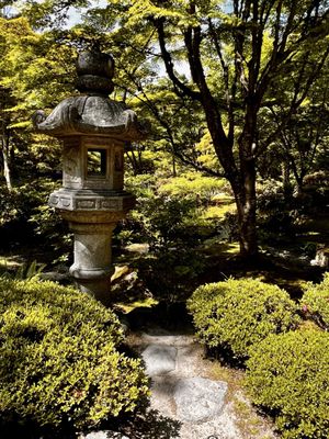 Seattle Japanese Garden by null