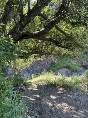 North Etiwanda Preserve by null