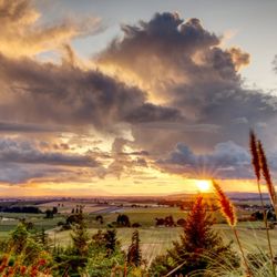 Bella Collina Bed and Breakfast