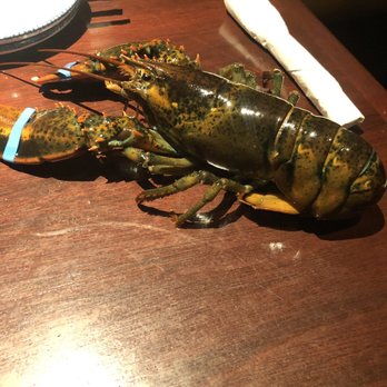 Red Lobster - Seafood Near Me - Concord, North Carolina Red Lobster - Seafood Near Me - Concord, North Carolina