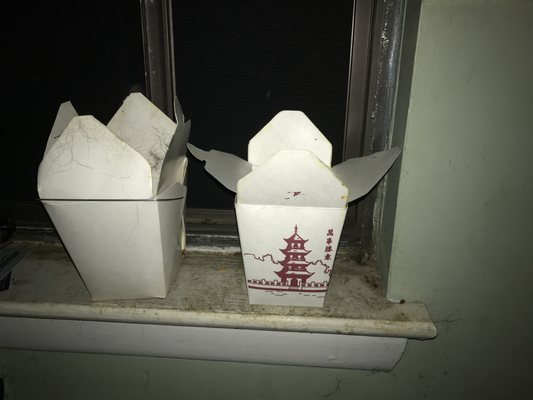 Dragon Phoenix by null