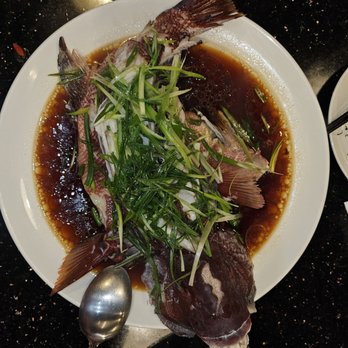 Sands Chinese Restaurant - steamed whole grouper - Chinese Near Me - Irwindale, California Sands Chinese Restaurant - steamed whole grouper - Chinese Near Me - Irwindale, California