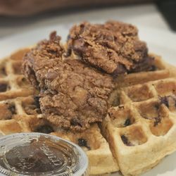 Biscuits & Jams - Yardbird and waffle (blueberry)