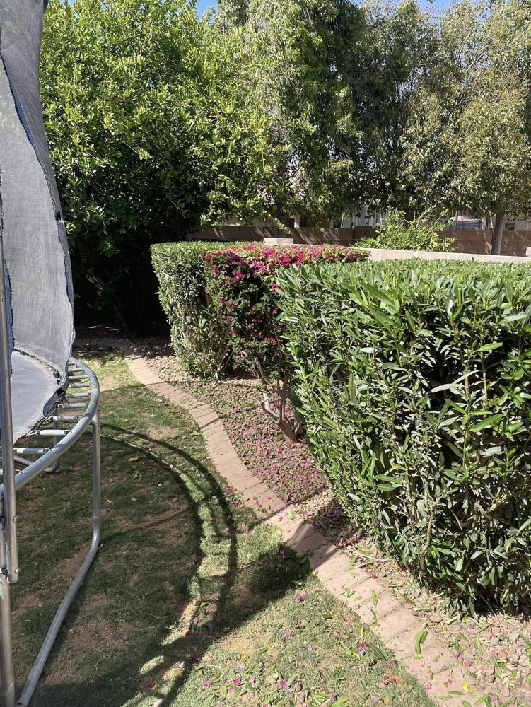 2 BROTHERS TRASH HAUL AND LANDSCAPING SERVICES Updated September 2024