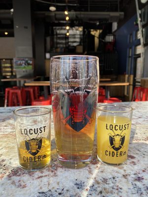 Locust Cider Belmar by null