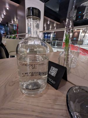 Canopy by Hilton Madrid Castellana by null