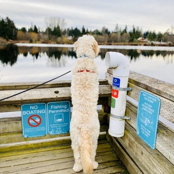 Lake Hills Greenbelt - Baci x evening walks :) little Dood got me by his paws!!! - Parks Near Me - Bellevue, Washington Lake Hills Greenbelt - Baci x evening walks :) little Dood got me by his paws!!! - Parks Near Me - Bellevue, Washington