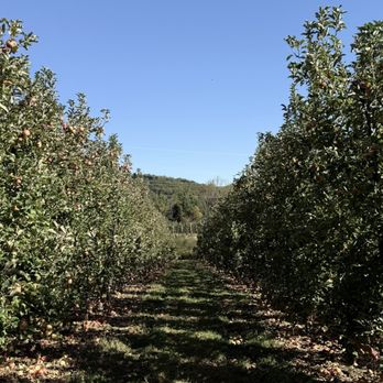 Apple Hill Orchard & Cider Mill - Fruits & Veggies Near Me - Morganton, North Carolina